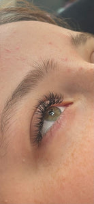 ladybuglashes lashglue lashtrays lashadhesive glueretention cloverlashes wlashes yylashes premades promades lashes