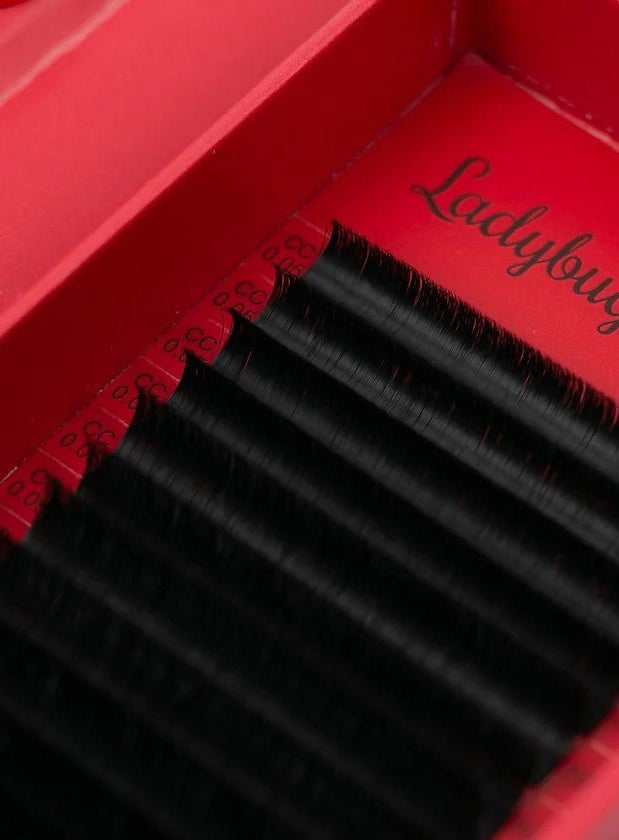 ladybuglashes lashglue lashtrays lashadhesive glueretention cloverlashes wlashes yylashes premades promades lashes