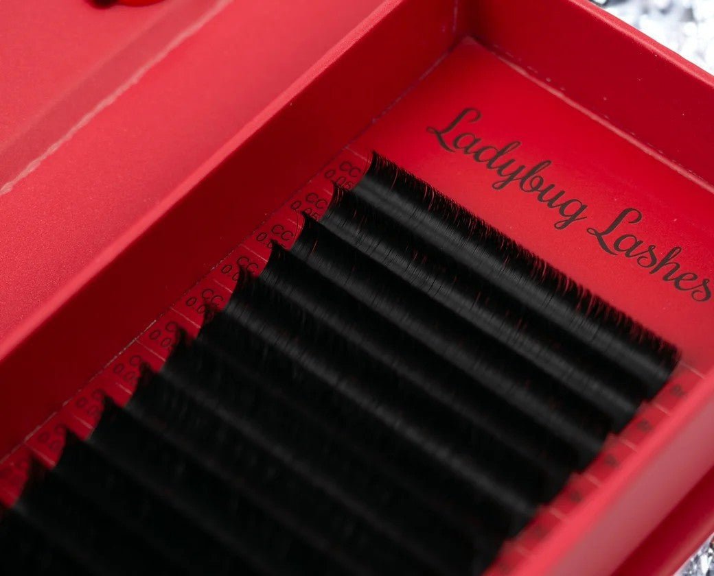 ladybuglashes lashglue lashtrays lashadhesive glueretention cloverlashes wlashes yylashes premades promades lashes