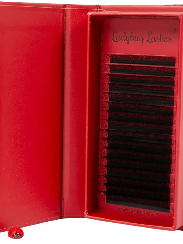 ladybuglashes lashglue lashtrays lashadhesive glueretention cloverlashes wlashes yylashes premades promades lashes