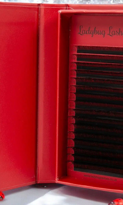 ladybuglashes lashglue lashtrays lashadhesive glueretention cloverlashes wlashes yylashes premades promades lashes