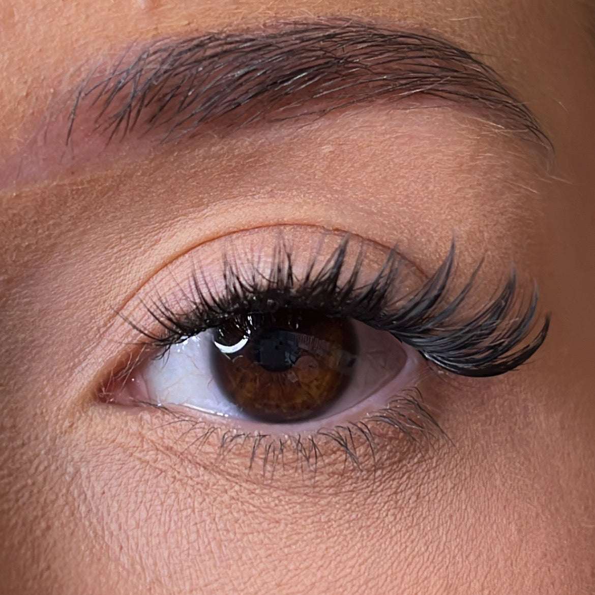 Lash Ribbons Mor Pre-Glued Lash Clusters – product image 2
