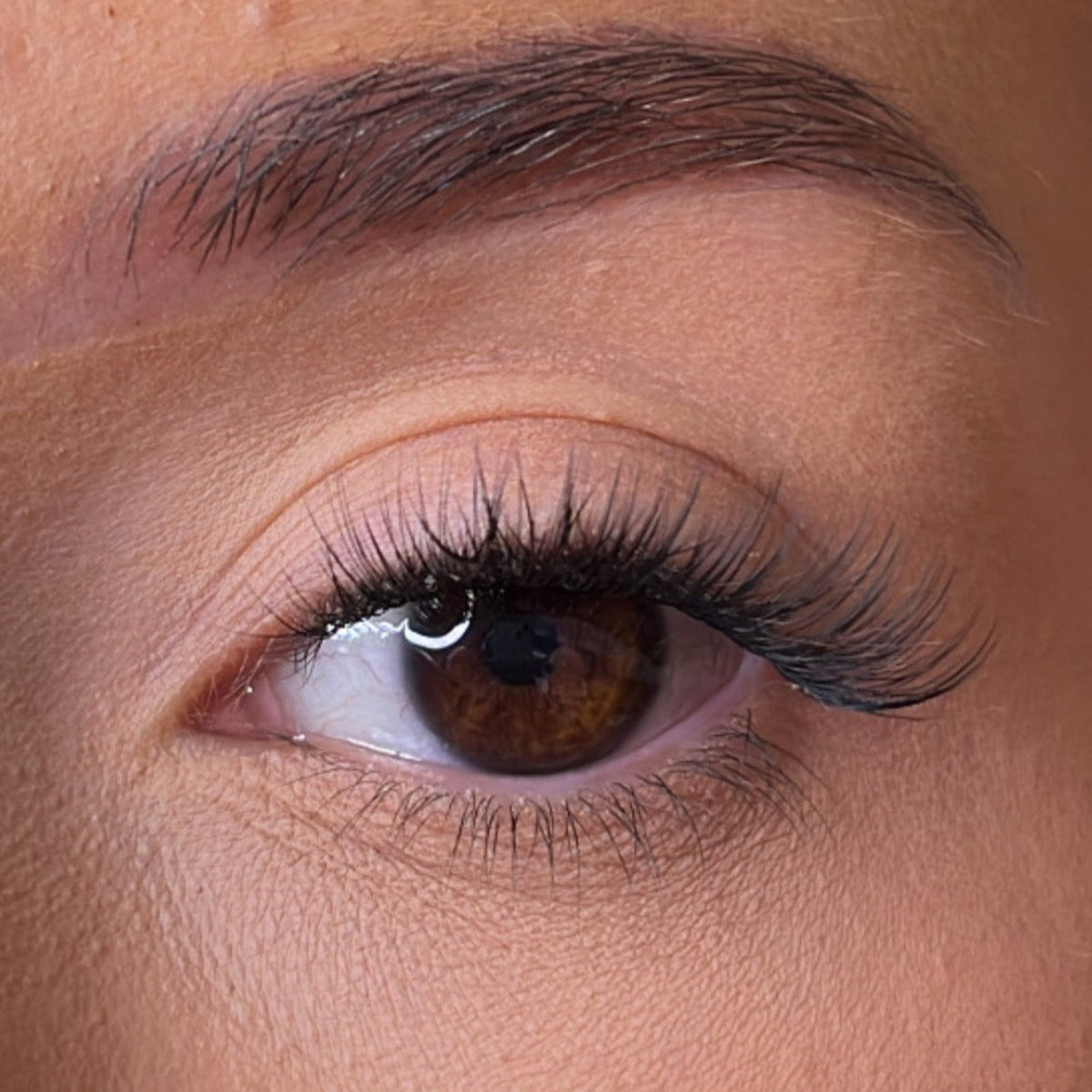 Lash Ribbons Dee Pre-Glued Lash Clusters – product image 2