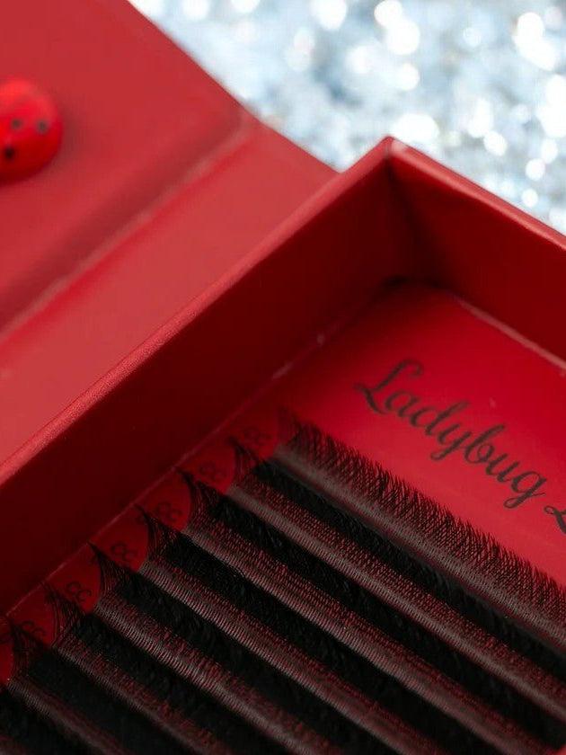 ladybuglashes lashglue lashtrays lashadhesive glueretention cloverlashes wlashes yylashes premades promades lashes