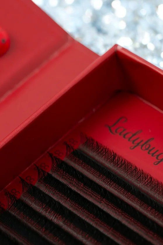 ladybuglashes lashglue lashtrays lashadhesive glueretention cloverlashes wlashes yylashes premades promades lashes