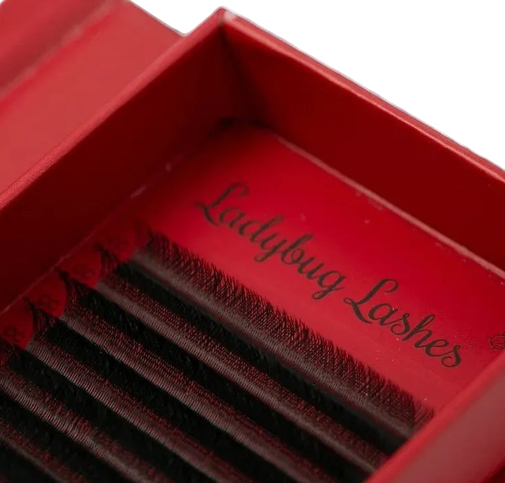 ladybuglashes lashglue lashtrays lashadhesive glueretention cloverlashes wlashes yylashes premades promades lashes