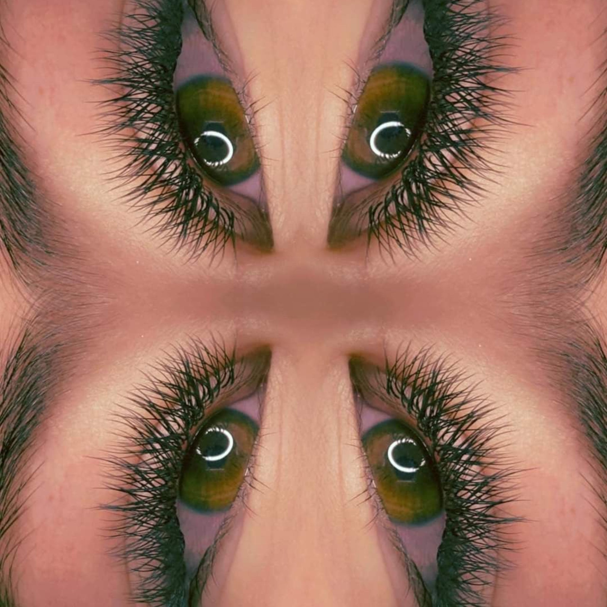 ladybuglashes lashglue lashtrays lashadhesive glueretention cloverlashes wlashes yylashes premades promades lashes