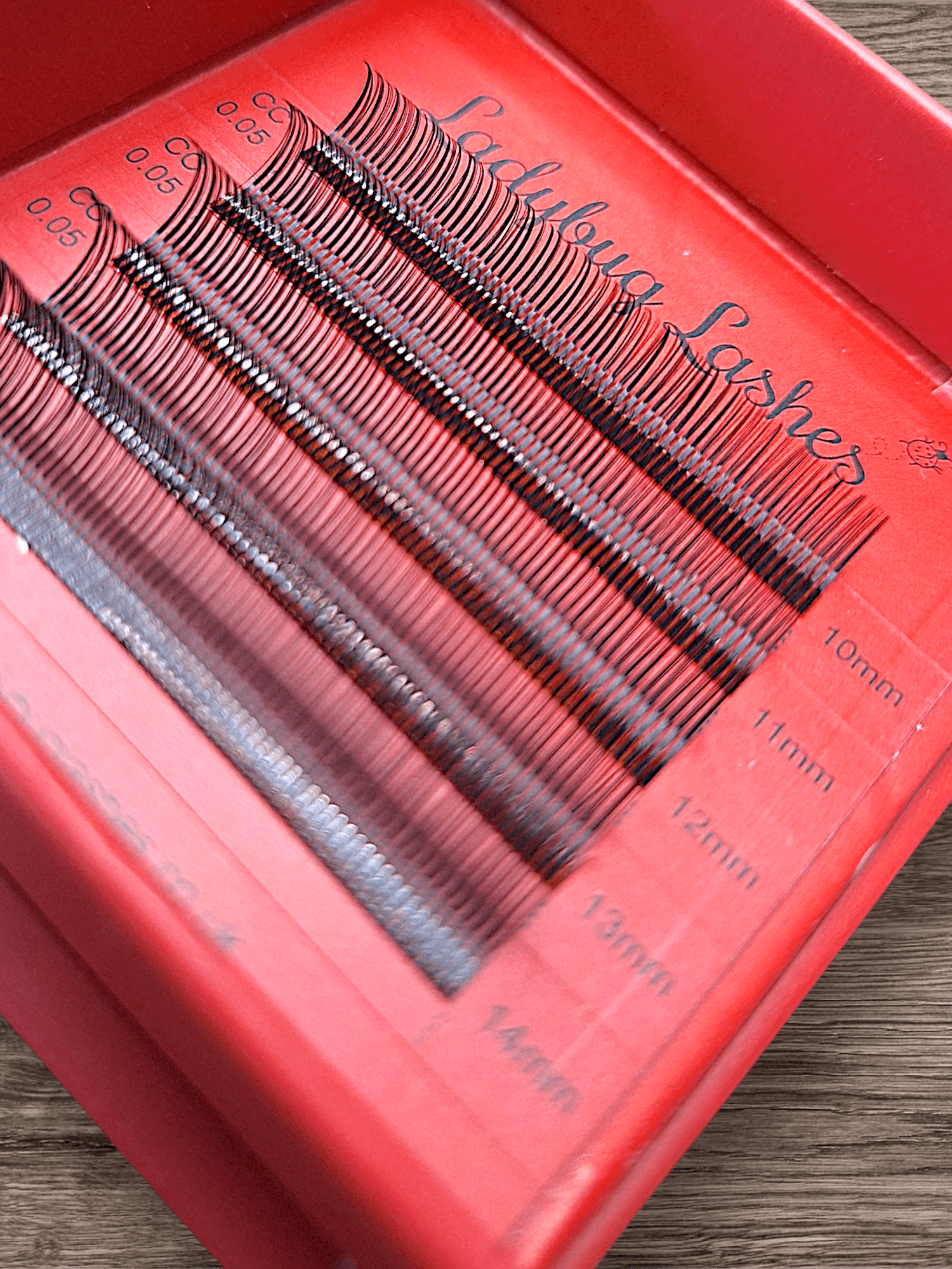 ladybuglashes lashglue lashtrays lashadhesive glueretention cloverlashes wlashes yylashes premades promades lashes