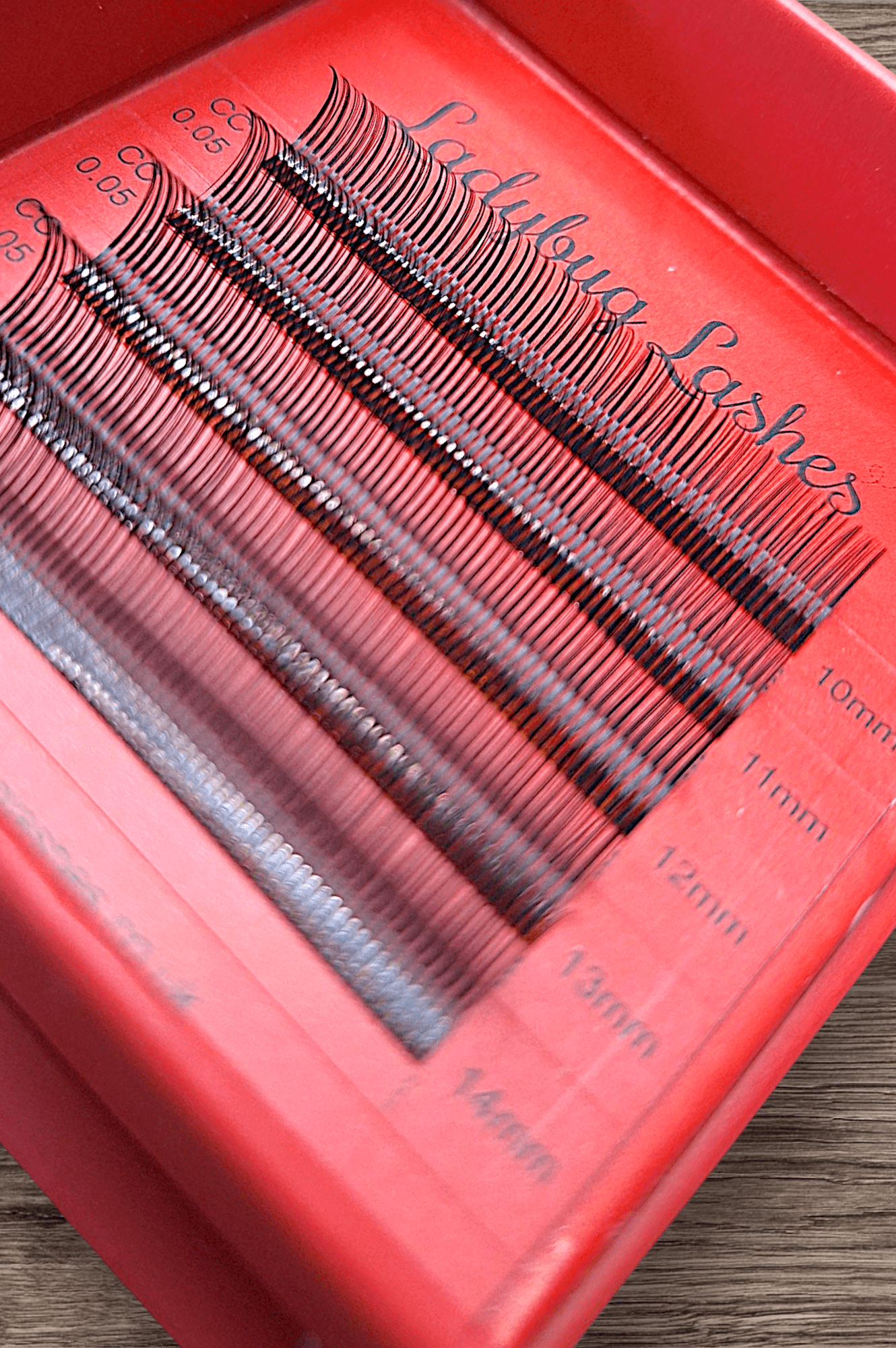 ladybuglashes lashglue lashtrays lashadhesive glueretention cloverlashes wlashes yylashes premades promades lashes