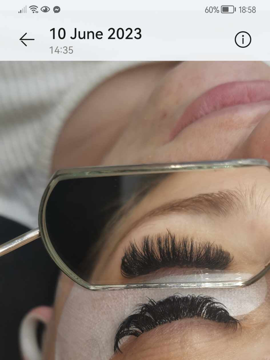 ladybuglashes lashglue lashtrays lashadhesive glueretention cloverlashes wlashes yylashes premades promades lashes