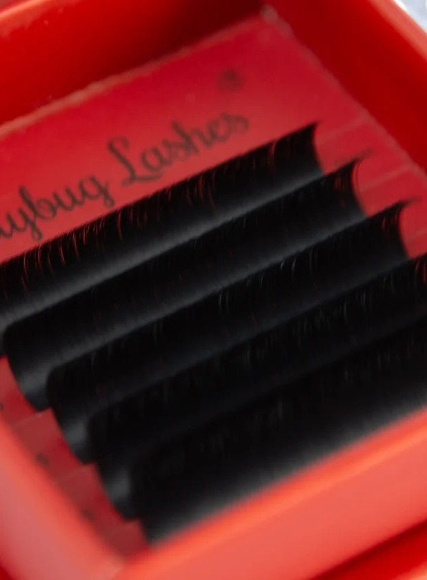 ladybuglashes lashglue lashtrays lashadhesive glueretention cloverlashes wlashes yylashes premades promades lashes