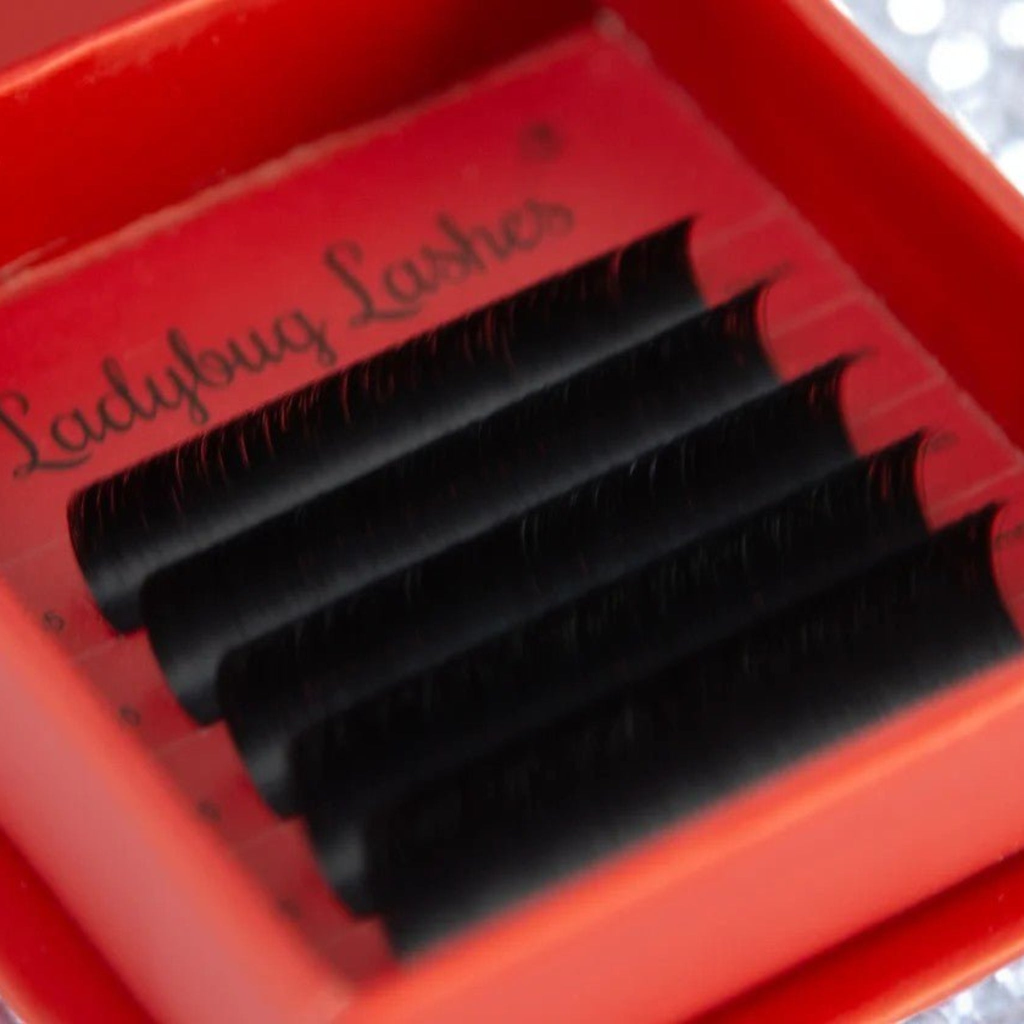 ladybuglashes lashglue lashtrays lashadhesive glueretention cloverlashes wlashes yylashes premades promades lashes