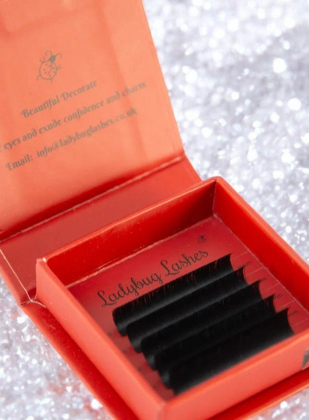 ladybuglashes lashglue lashtrays lashadhesive glueretention cloverlashes wlashes yylashes premades promades lashes