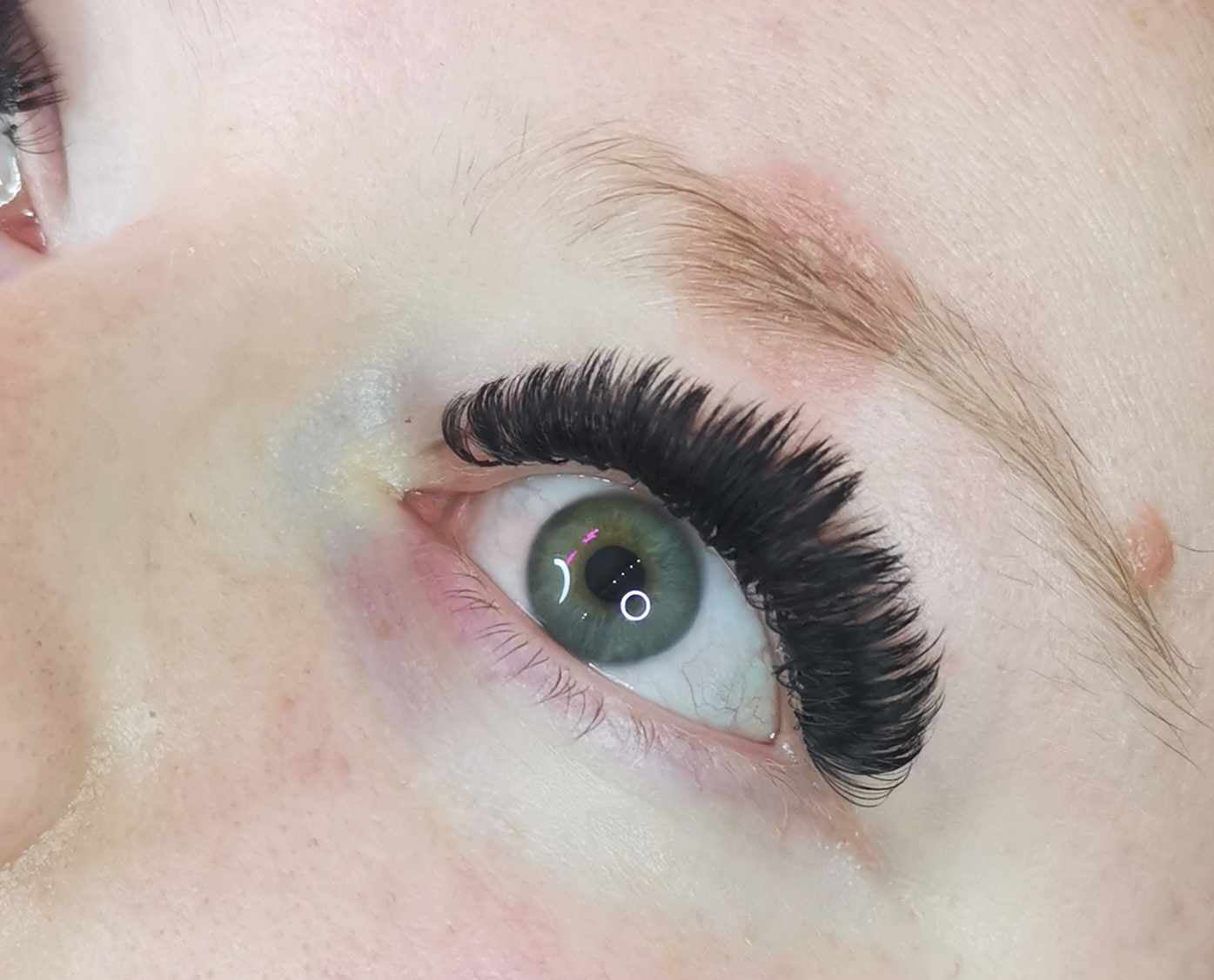 ladybuglashes lashglue lashtrays lashadhesive glueretention cloverlashes wlashes yylashes premades promades lashes