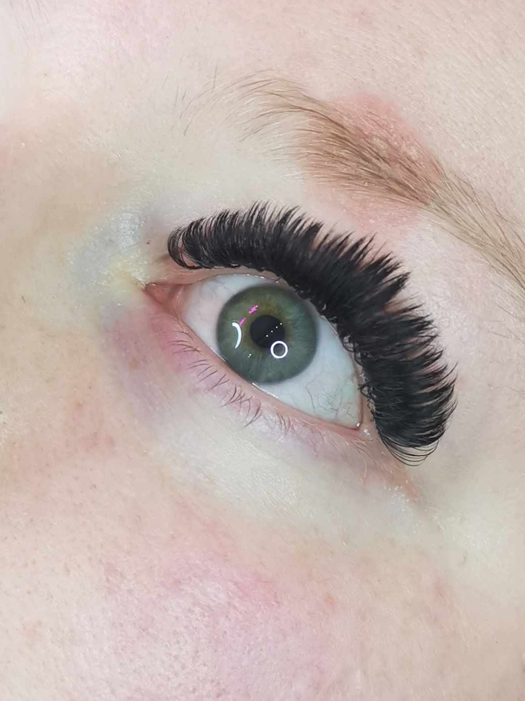 ladybuglashes lashglue lashtrays lashadhesive glueretention cloverlashes wlashes yylashes premades promades lashes