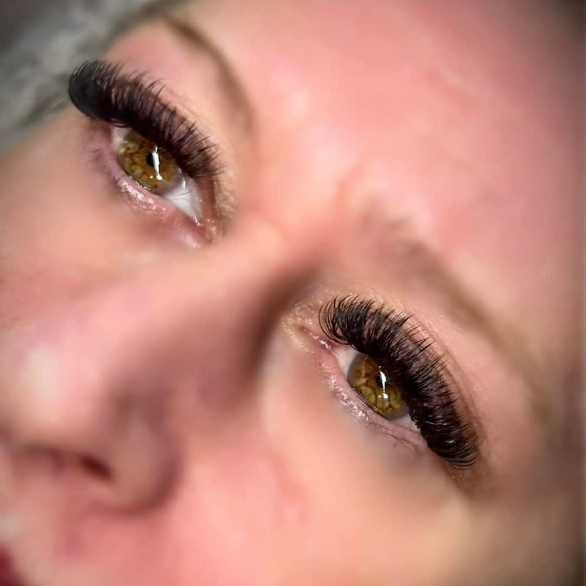 ladybuglashes lashglue lashtrays lashadhesive glueretention cloverlashes wlashes yylashes premades promades lashes