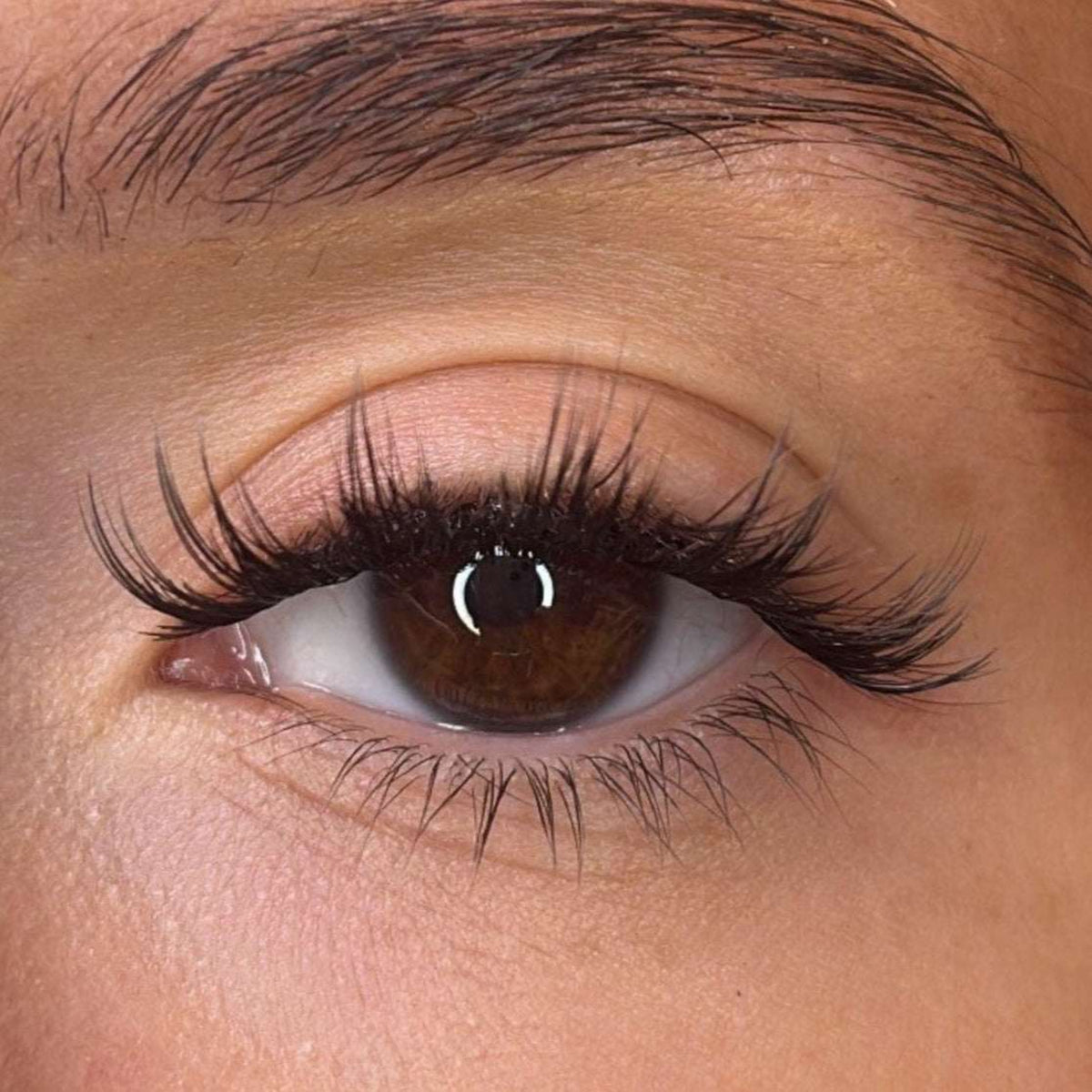 Lash Ribbons Elvie 3D 'D' Curl DIY Lash Clusters – product image 2