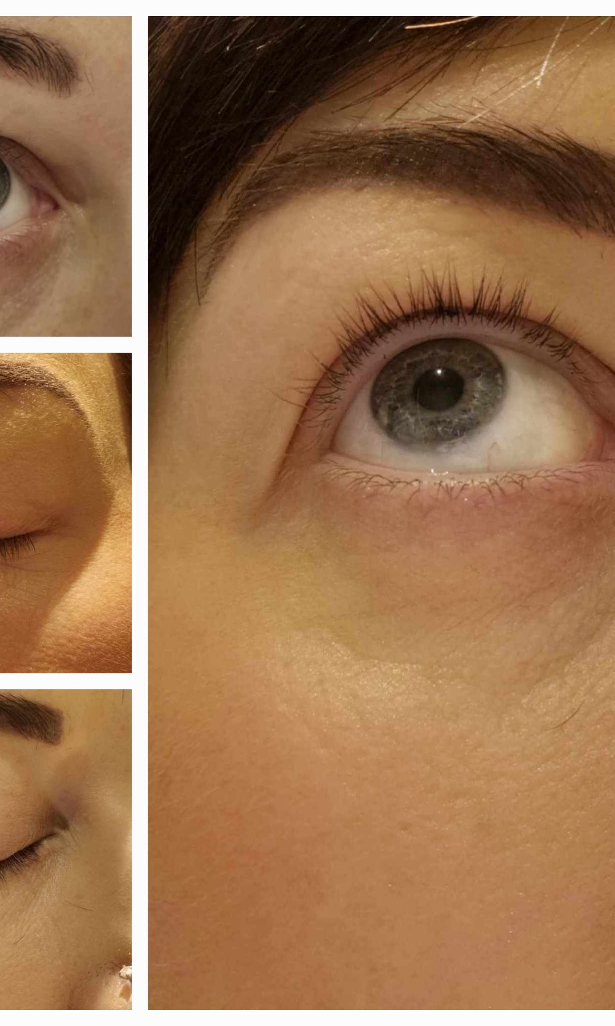 Lash & Brow Growth Serum 6ml – Retail Bundle 5 or 10 Units