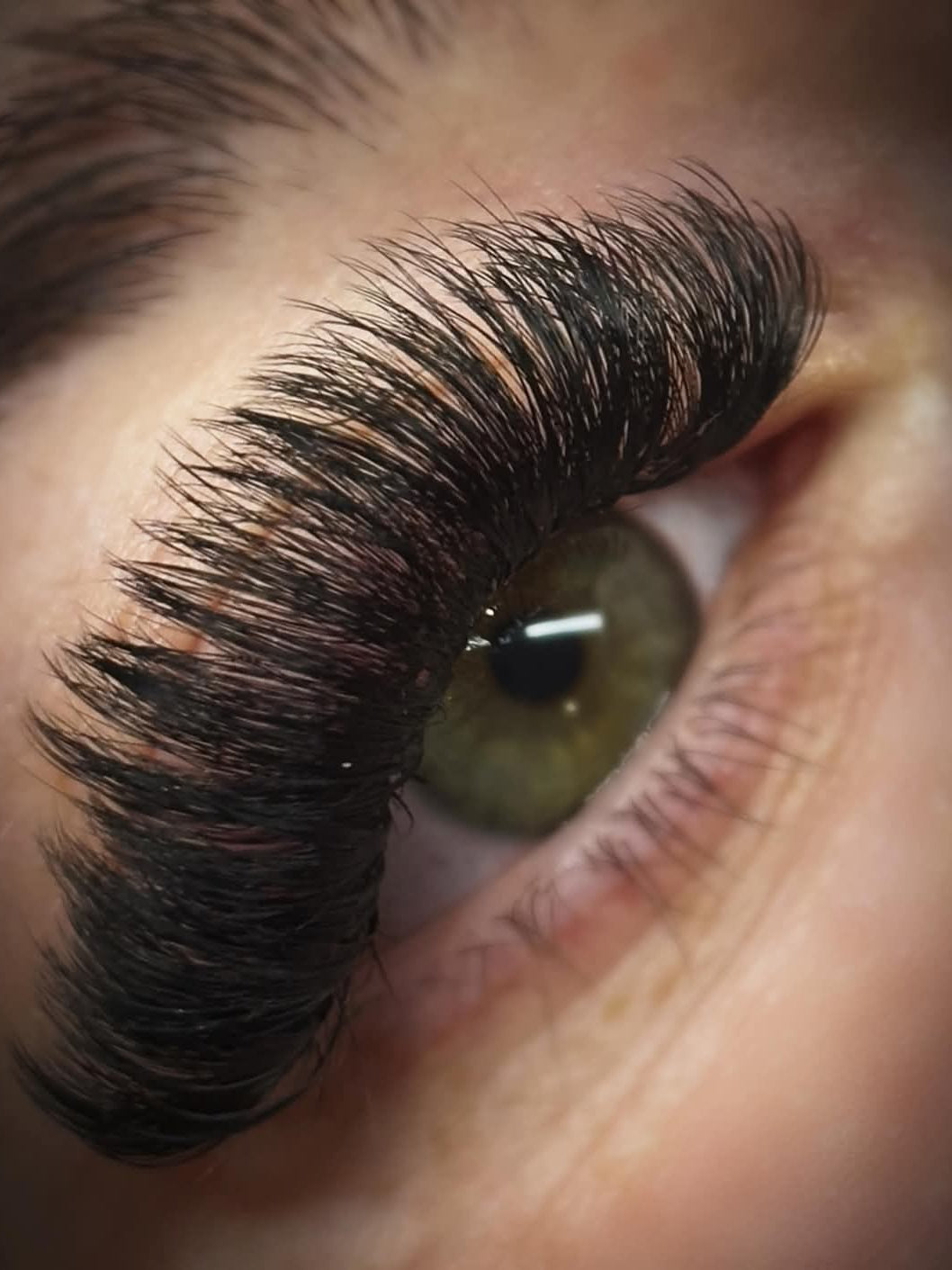 ladybuglashes lashglue lashtrays lashadhesive glueretention cloverlashes wlashes yylashes premades promades lashes