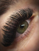 ladybuglashes lashglue lashtrays lashadhesive glueretention cloverlashes wlashes yylashes premades promades lashes