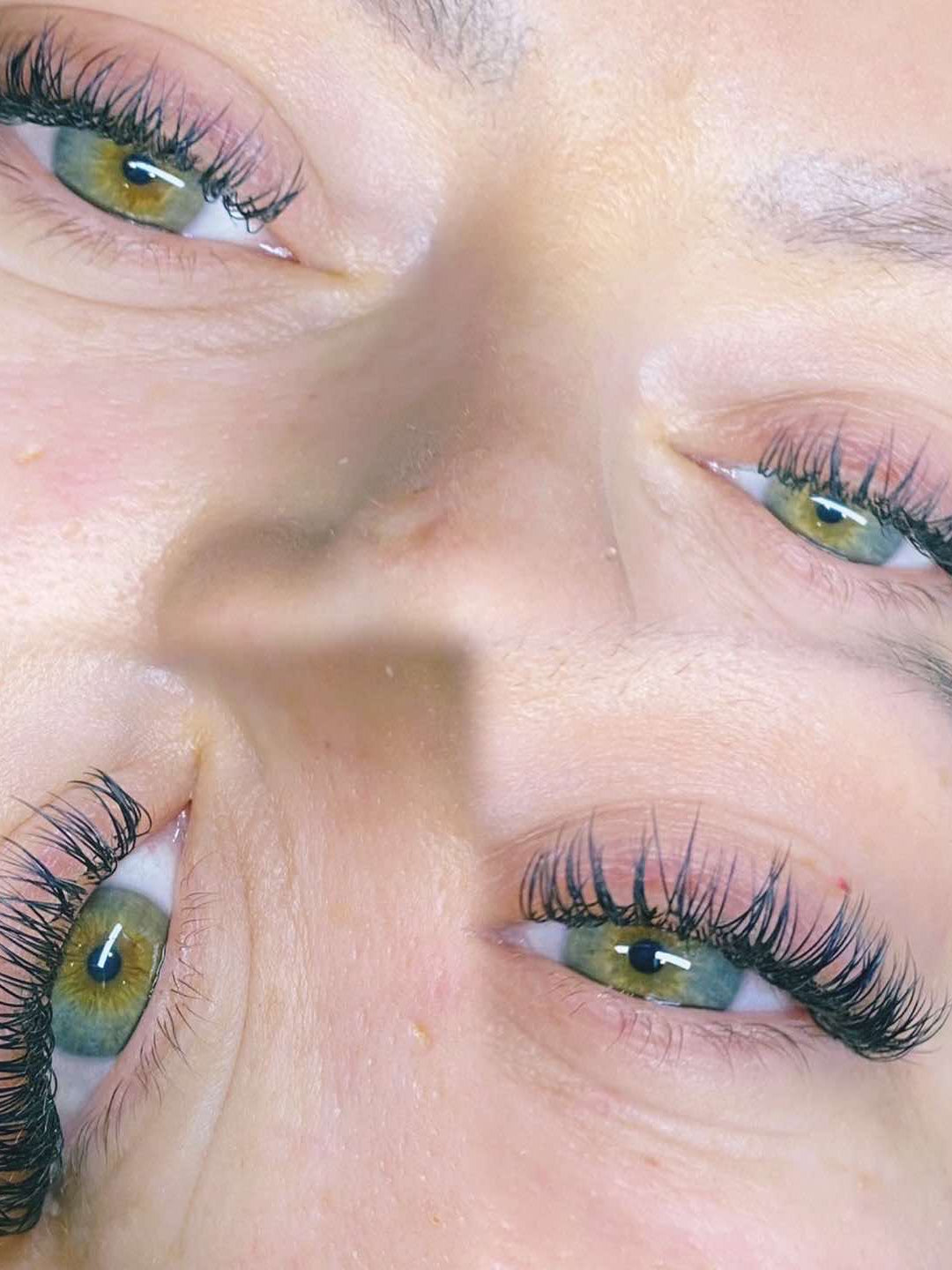 ladybuglashes lashglue lashtrays lashadhesive glueretention cloverlashes wlashes yylashes premades promades lashes