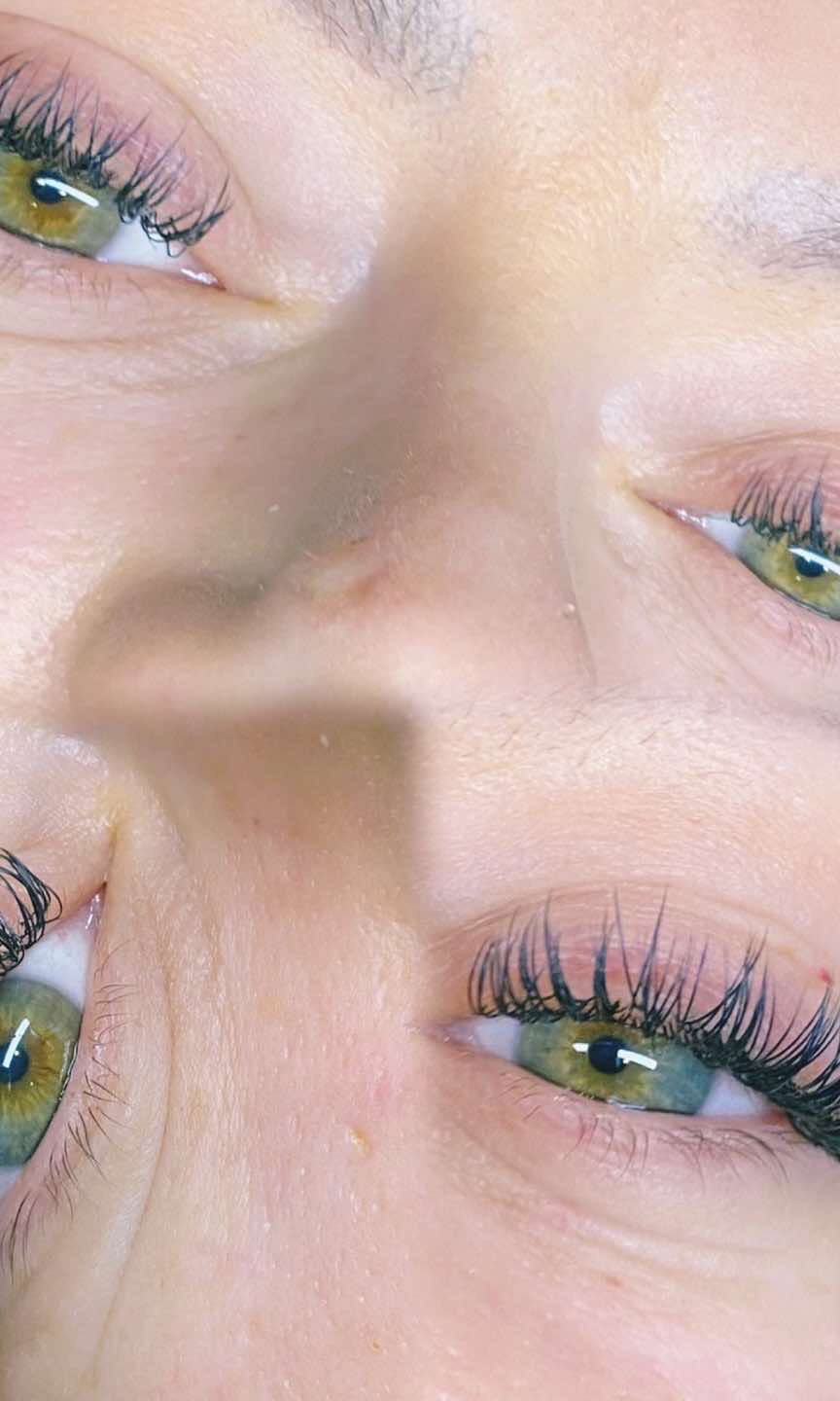 ladybuglashes lashglue lashtrays lashadhesive glueretention cloverlashes wlashes yylashes premades promades lashes