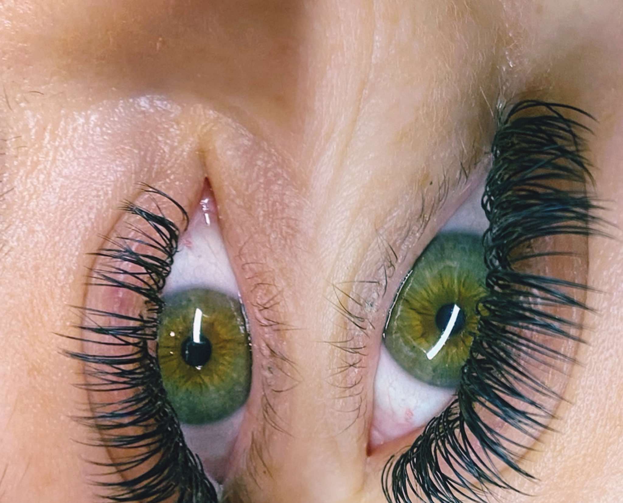 ladybuglashes lashglue lashtrays lashadhesive glueretention cloverlashes wlashes yylashes premades promades lashes