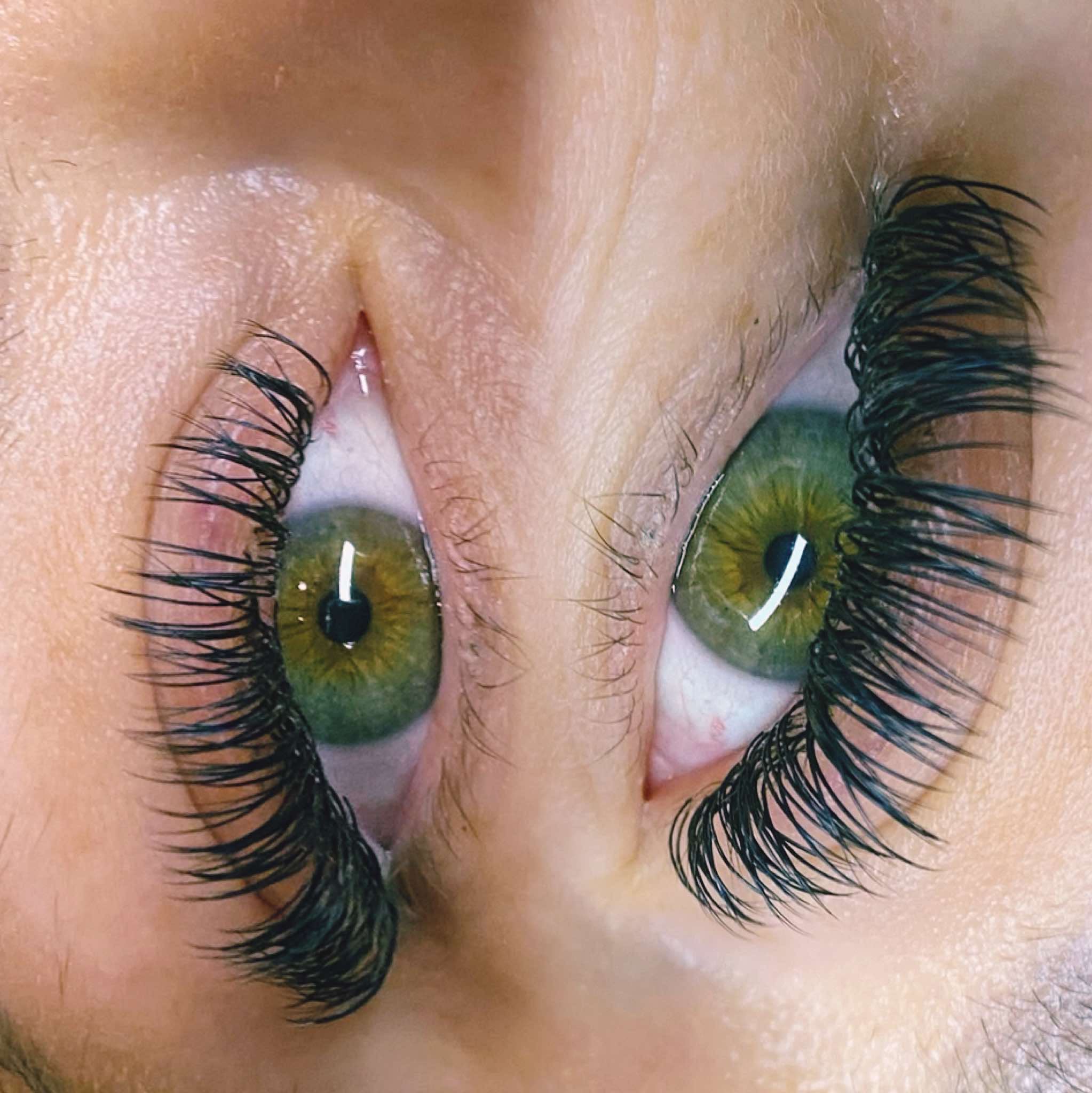 ladybuglashes lashglue lashtrays lashadhesive glueretention cloverlashes wlashes yylashes premades promades lashes