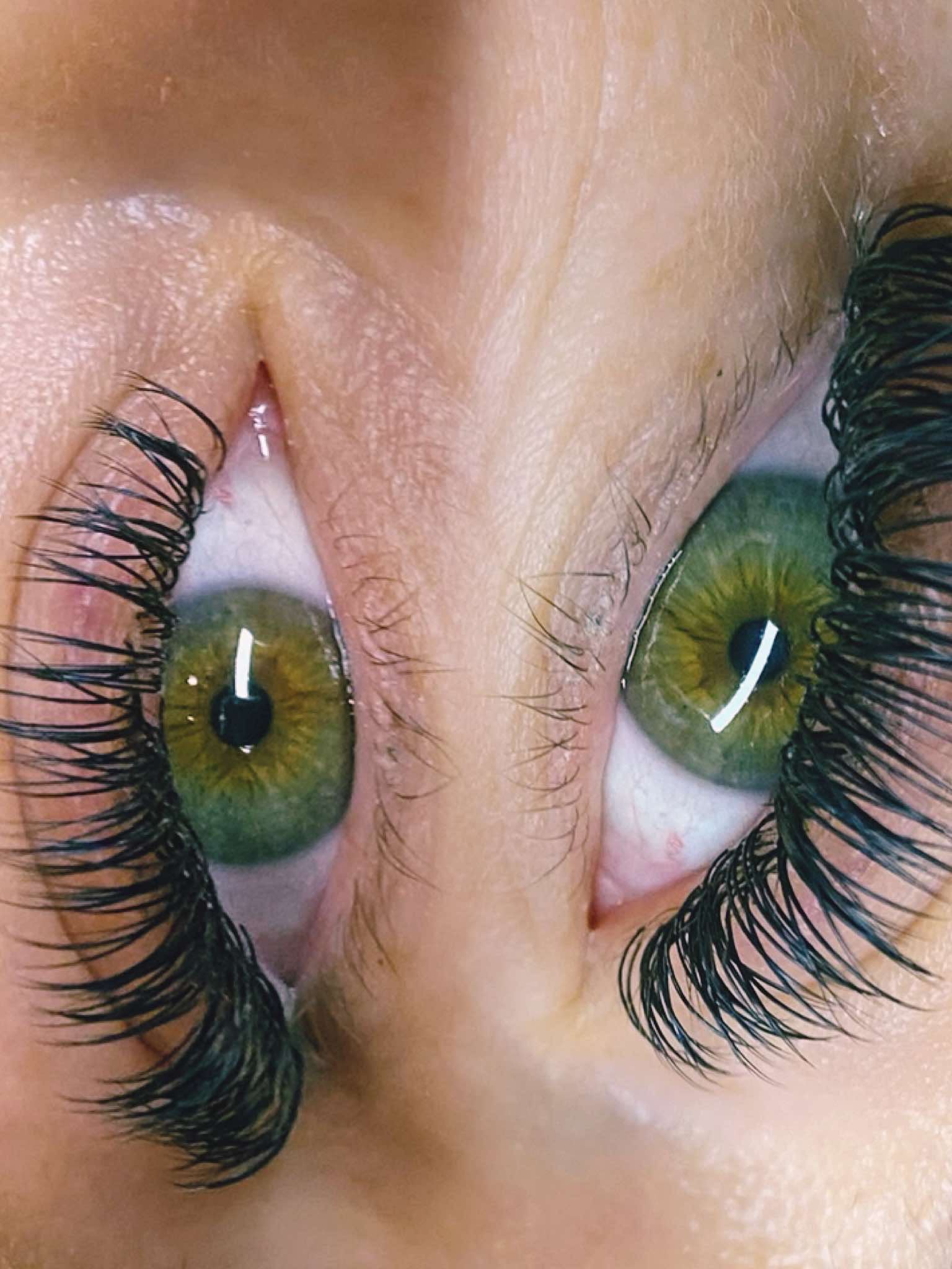 ladybuglashes lashglue lashtrays lashadhesive glueretention cloverlashes wlashes yylashes premades promades lashes