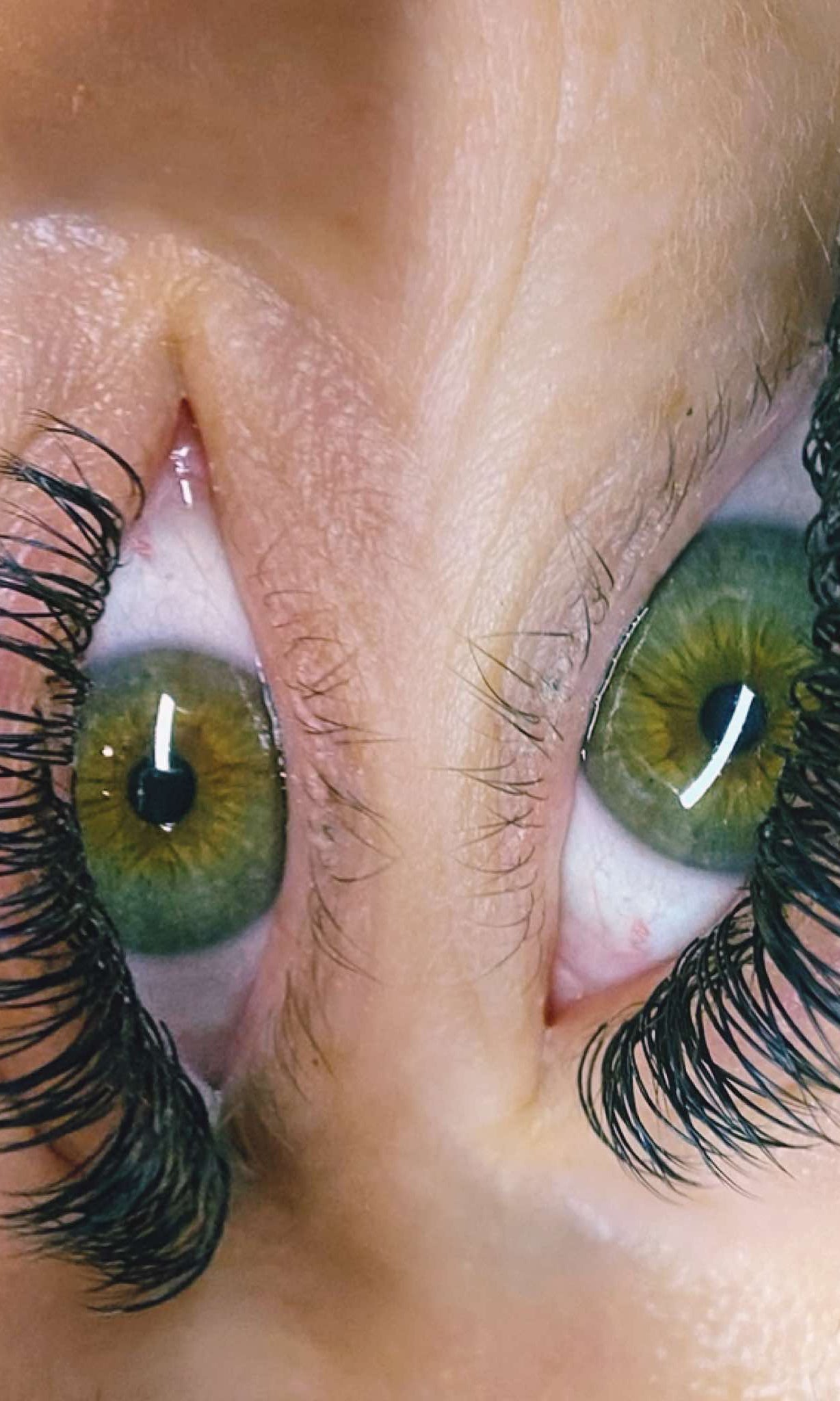 ladybuglashes lashglue lashtrays lashadhesive glueretention cloverlashes wlashes yylashes premades promades lashes