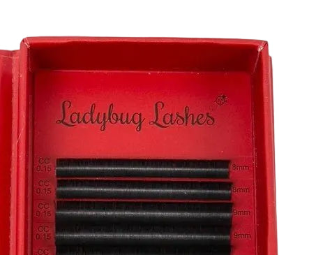ladybuglashes lashglue lashtrays lashadhesive glueretention cloverlashes wlashes yylashes premades promades lashes