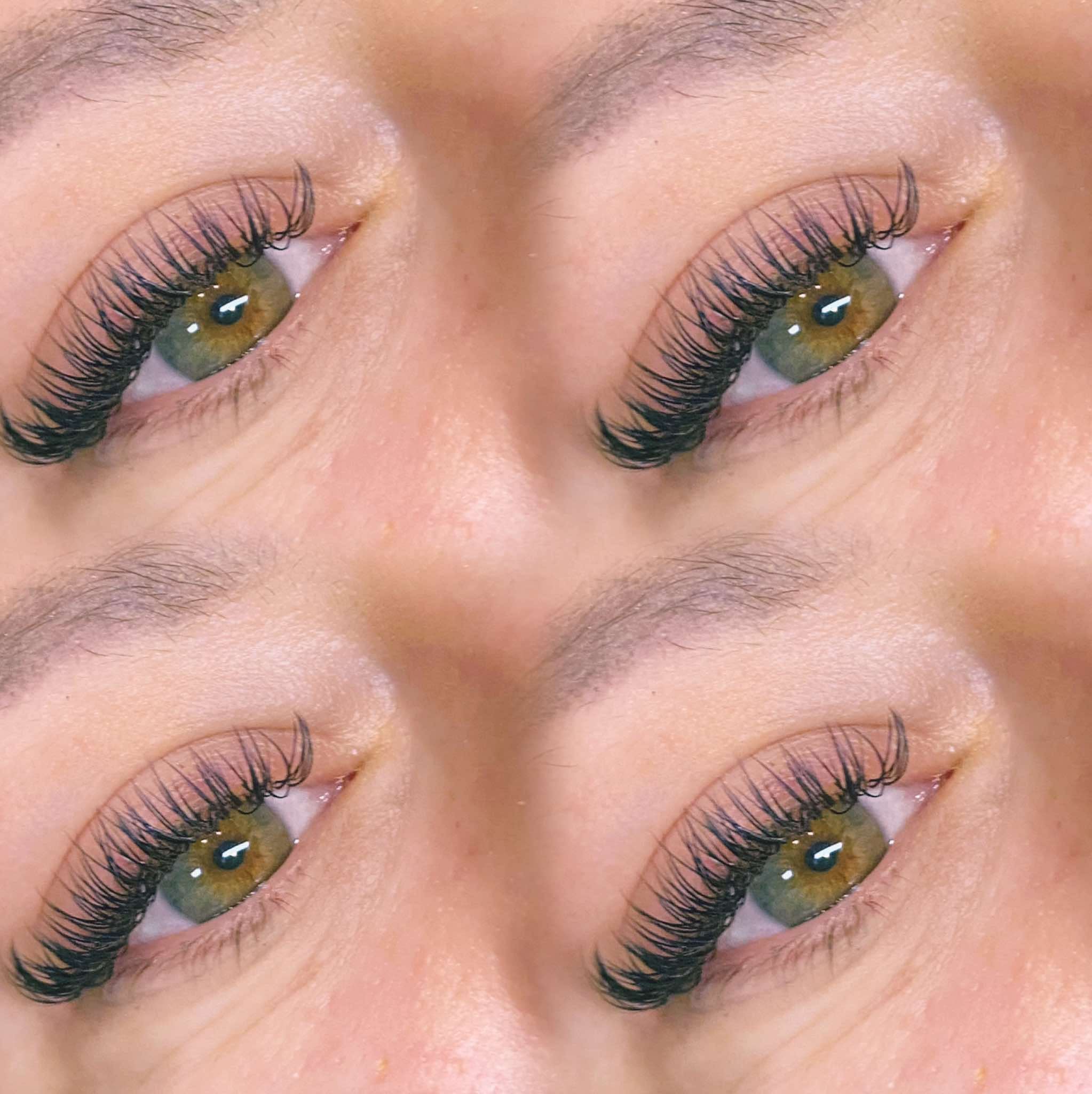 ladybuglashes lashglue lashtrays lashadhesive glueretention cloverlashes wlashes yylashes premades promades lashes