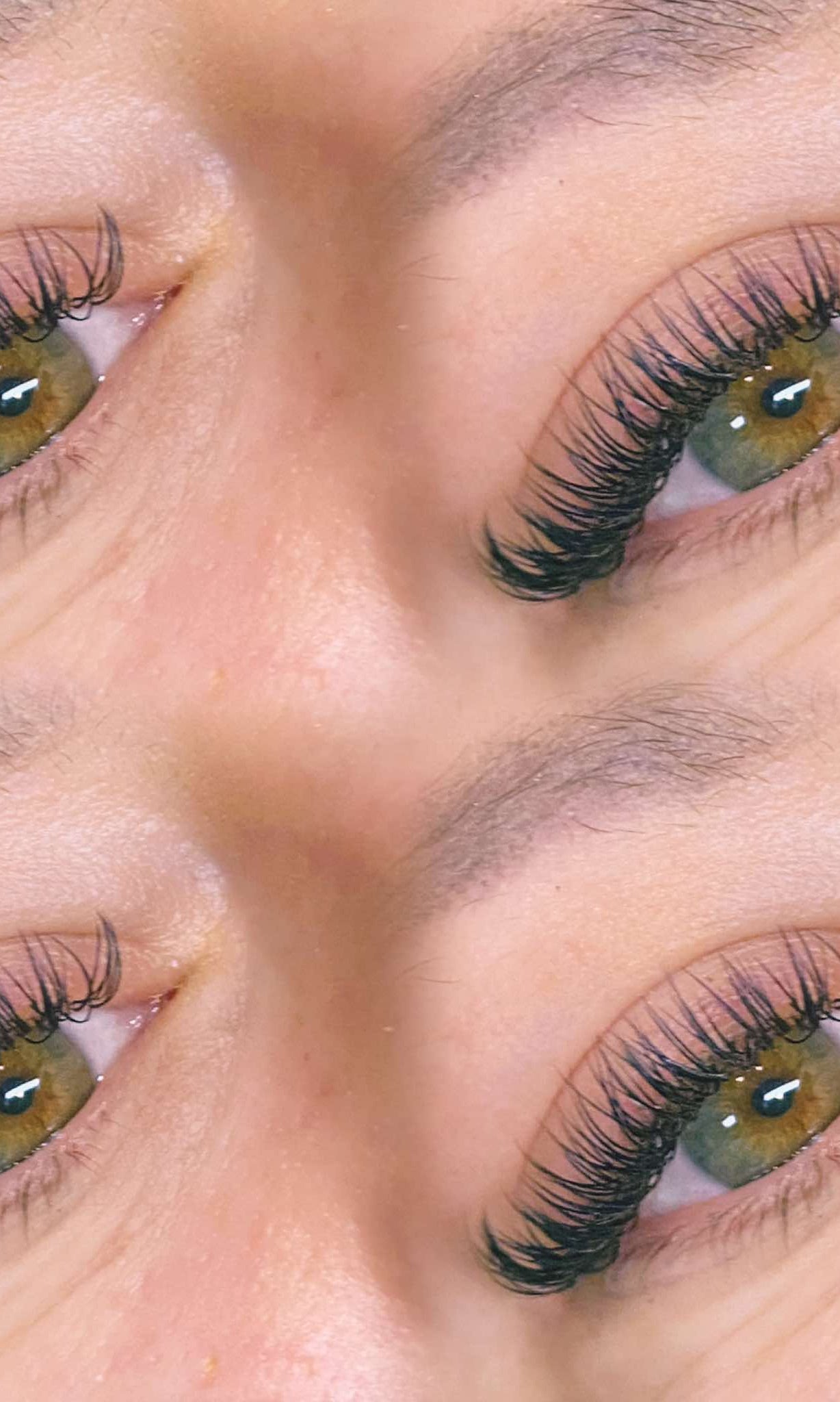 ladybuglashes lashglue lashtrays lashadhesive glueretention cloverlashes wlashes yylashes premades promades lashes