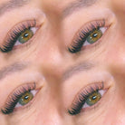 ladybuglashes lashglue lashtrays lashadhesive glueretention cloverlashes wlashes yylashes premades promades lashes