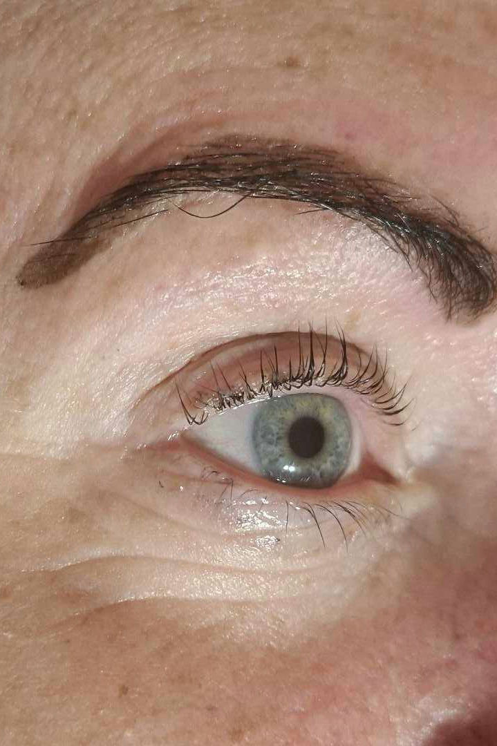 ladybuglashes lashglue lashtrays lashadhesive glueretention cloverlashes wlashes yylashes premades promades lashes