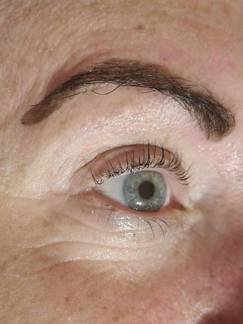 ladybuglashes lashglue lashtrays lashadhesive glueretention cloverlashes wlashes yylashes premades promades lashes