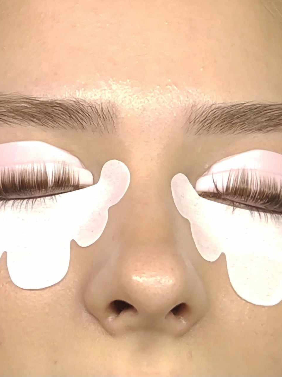 ladybuglashes lashglue lashtrays lashadhesive glueretention cloverlashes wlashes yylashes premades promades lashes