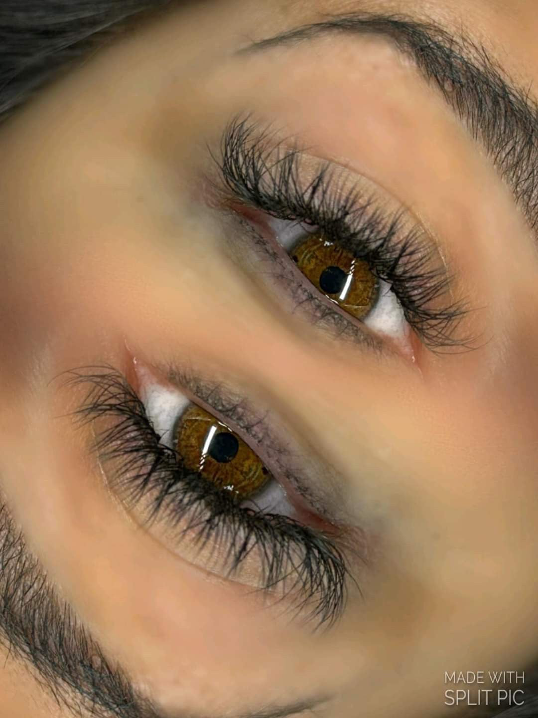 ladybuglashes lashglue lashtrays lashadhesive glueretention cloverlashes wlashes yylashes premades promades lashes