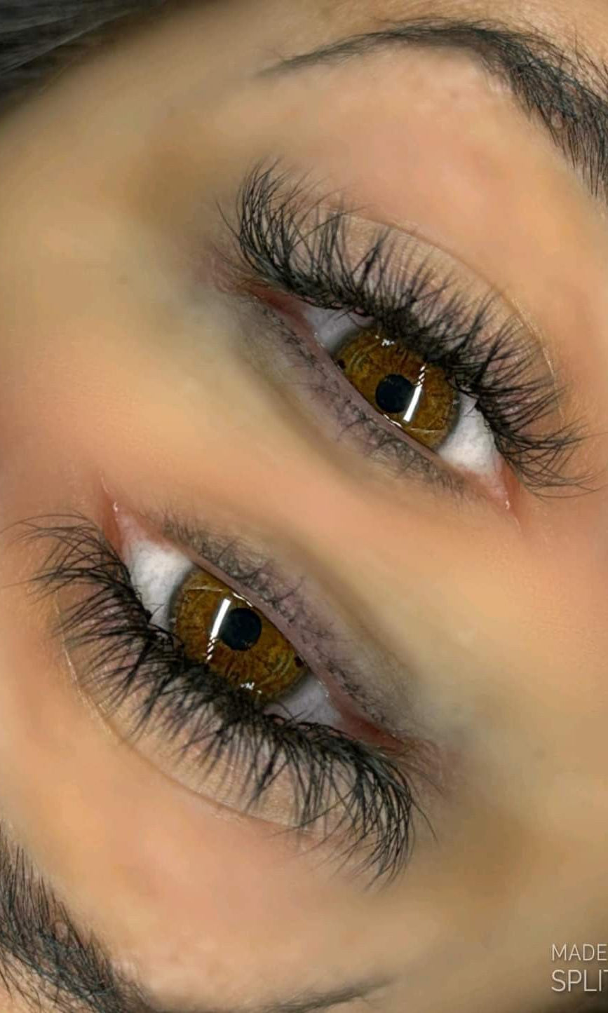 ladybuglashes lashglue lashtrays lashadhesive glueretention cloverlashes wlashes yylashes premades promades lashes