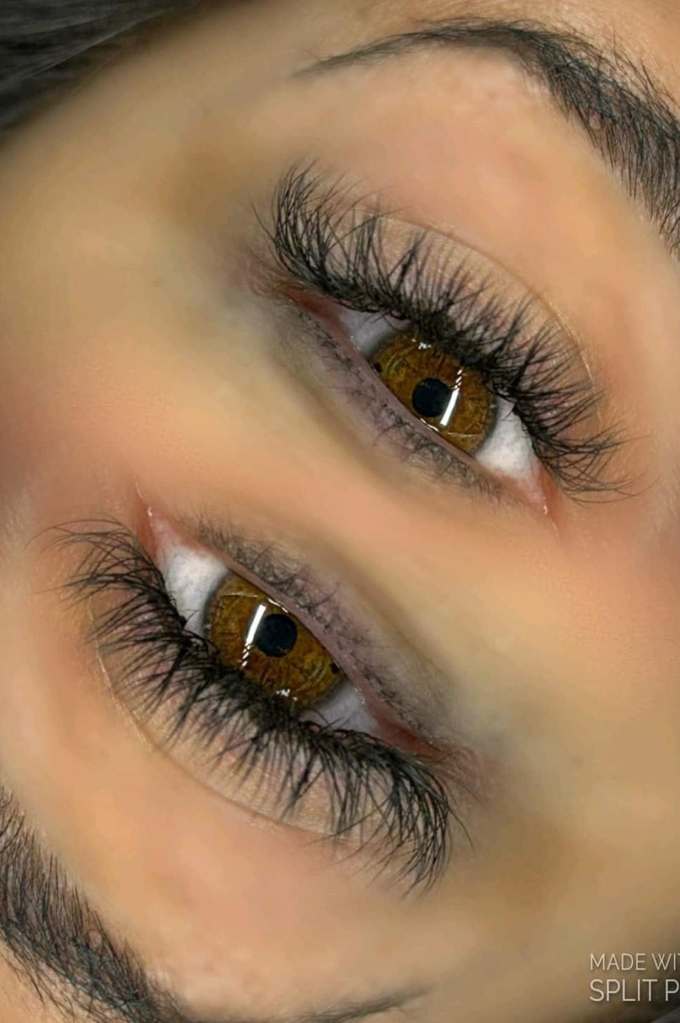 ladybuglashes lashglue lashtrays lashadhesive glueretention cloverlashes wlashes yylashes premades promades lashes