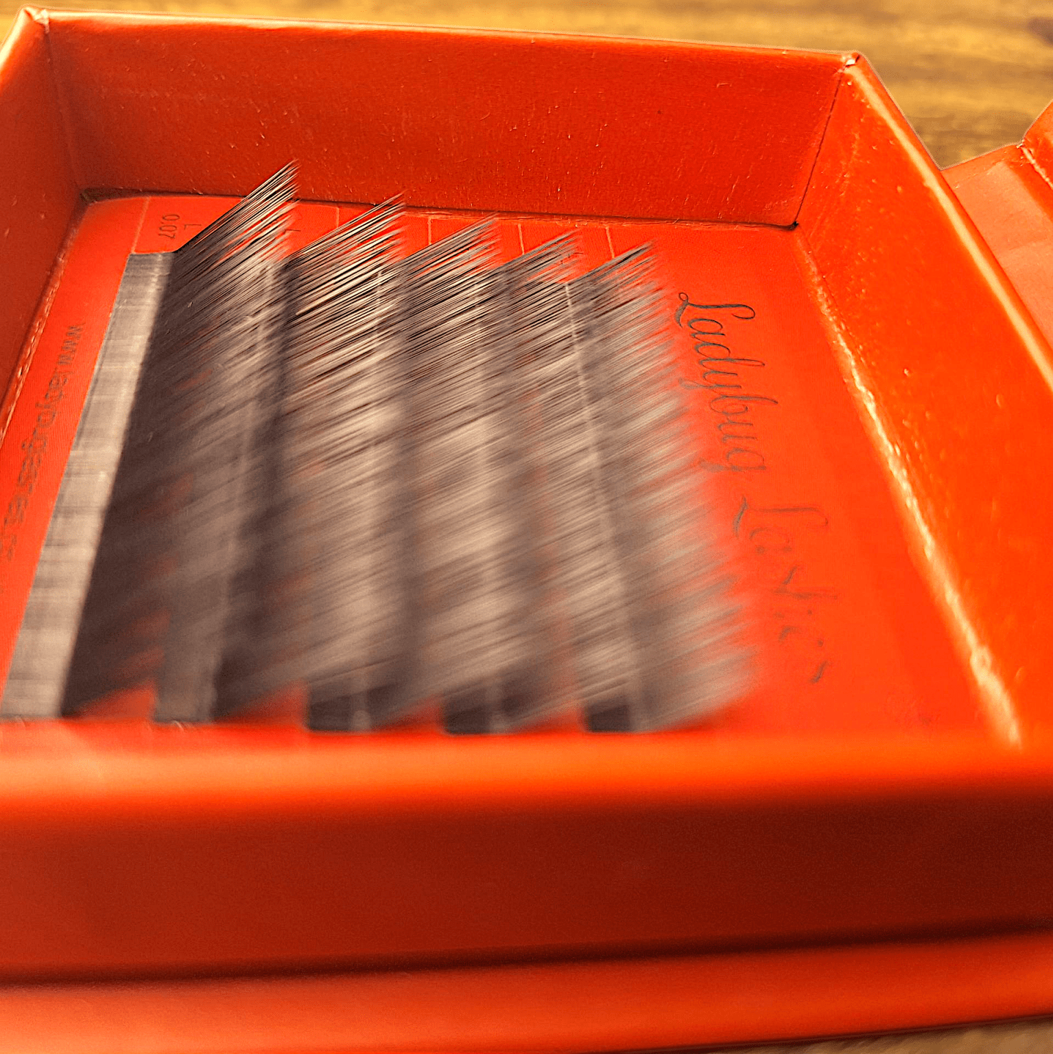 ladybuglashes lashglue lashtrays lashadhesive glueretention cloverlashes wlashes yylashes premades promades lashes