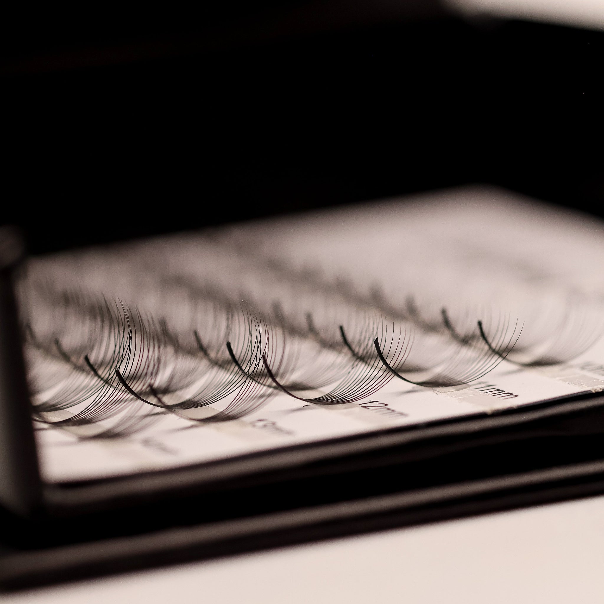 Ladybug Lashes Platinum Promade Ultra Black extreme macro close-up on r tray showing dense ultra black fan tips and consistent curl shape