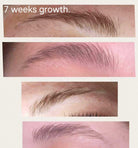 ladybuglashes lashglue lashtrays lashadhesive glueretention cloverlashes wlashes yylashes premades promades lashes