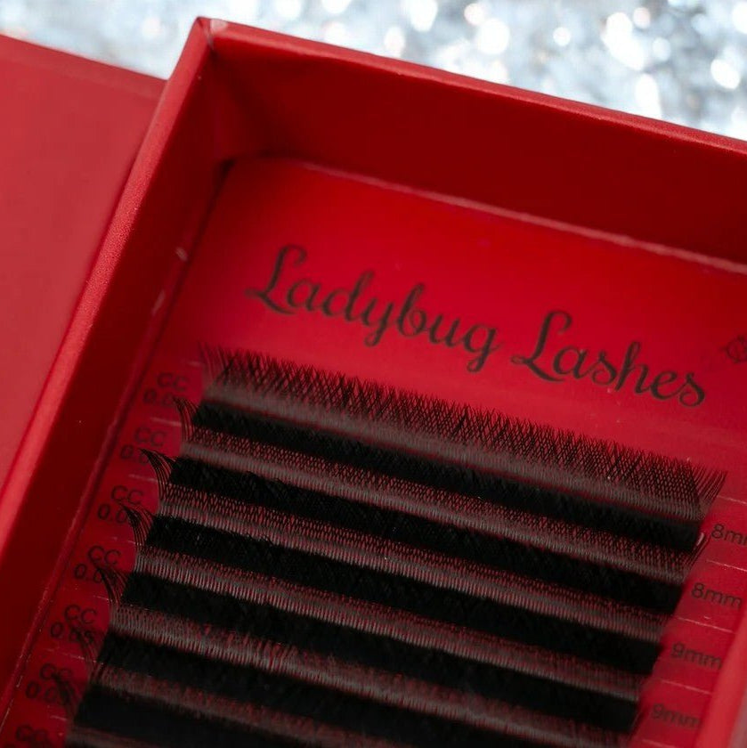 ladybuglashes lashglue lashtrays lashadhesive glueretention cloverlashes wlashes yylashes premades promades lashes