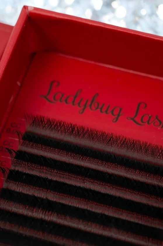 ladybuglashes lashglue lashtrays lashadhesive glueretention cloverlashes wlashes yylashes premades promades lashes