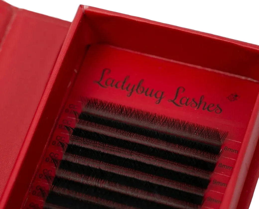 ladybuglashes lashglue lashtrays lashadhesive glueretention cloverlashes wlashes yylashes premades promades lashes