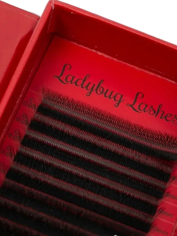 ladybuglashes lashglue lashtrays lashadhesive glueretention cloverlashes wlashes yylashes premades promades lashes