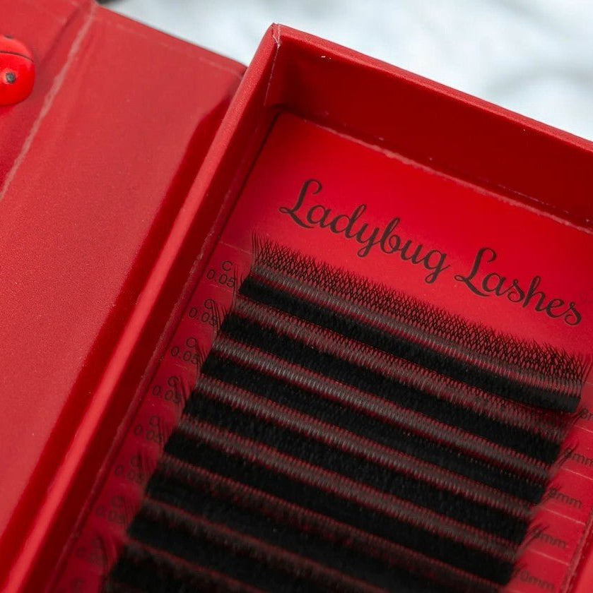 ladybuglashes lashglue lashtrays lashadhesive glueretention cloverlashes wlashes yylashes premades promades lashes