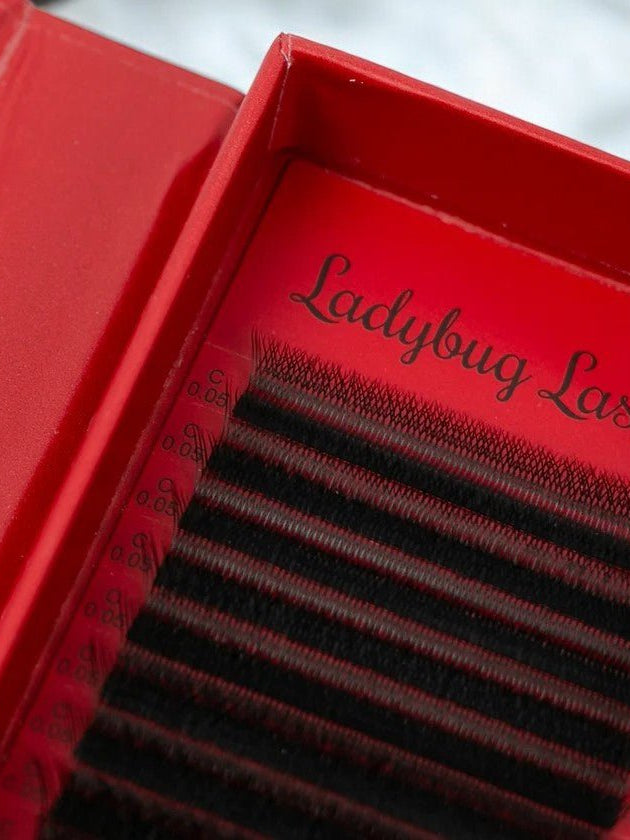 ladybuglashes lashglue lashtrays lashadhesive glueretention cloverlashes wlashes yylashes premades promades lashes