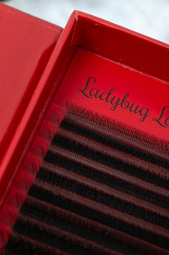 ladybuglashes lashglue lashtrays lashadhesive glueretention cloverlashes wlashes yylashes premades promades lashes